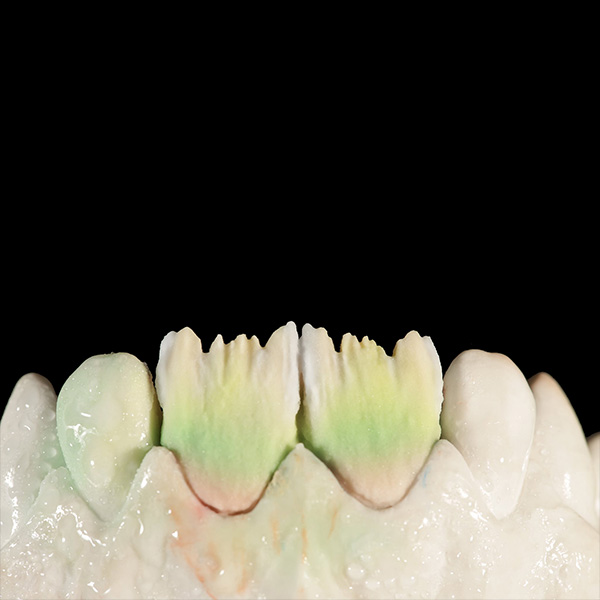 Bl&auml;ulich-transluzente Effekte wurde im Bereich der Flanken mit TRANSLUCENT deep blue etabliert.