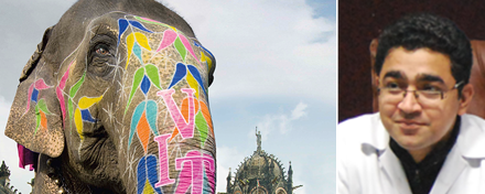 Patientenfall von Manoj Chhabra und Rohit Rana. GHAZIABAD, Indien. Patientenfall von Manoj Chhabra und Rohit Rana. GHAZIABAD, Indien.